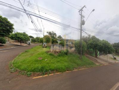 imagem-miniatura